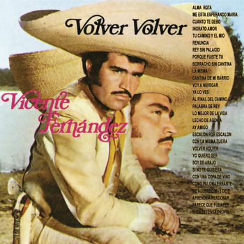 VICENTE FERNANDEZ CANCION vicente fernandez cancion: