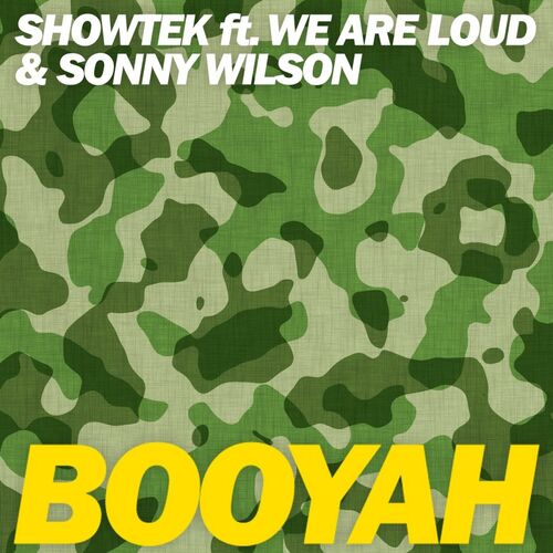 Showtek ft We Are Loud Sonny Wilson - Booyah Brooks